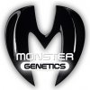 Monster Genetics - Monster Gorilla Glue 5 ks - Semená neobsahujú THC.