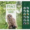 Ptáci našich lesů - Andrea Pinnington, Caz Buckingham