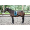 Harrys Horse Elastická pomôcka na lonžovanie koňa
