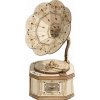 3D puzzle ROBOTIME Rolife 3D drevené puzzle Gramofón 122 dielikov (TG408)