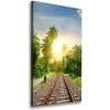 Vertikálny foto obraz na plátne Železničné koľaje 50x100 cm