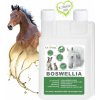 Dromy Boswellia liquid 1000 ml