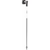 Zjazdové palice Leki Carbon 14 3D W, naturalcarbon-white-gold