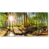 Foto obraz akryl do obývačky Panorama les 100x50 cm