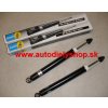 Škoda OCTAVIA 3/97-8/00 zadné tlmiče Sada L+P / BILSTEIN / KOMBI