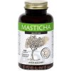 MASTICHA ACTIVE - Apothecary cps 1x100 ks