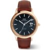 DANIEL WELLINGTON pánske hodinky Iconic Automatic DW00100758