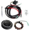 Dobíjací kit pre lodný motor YAMAHA F4-F6 Lighting Coil Kit for F4B/F5A/F6C 6EE762A00000 6BX-W8130-A0-00