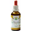 Salvia Paradise Ženšen pravý 6-ročný BIO tinktúra - 50 ml