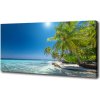 Foto obraz canvas Maledivy pláž 100x50 cm