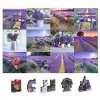 Dřevěné puzzle Levandulová Francie 2v1 - autor neuvedený
