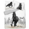 Detexpol obliečky Kone The King Bavlna 200x220 70x80