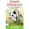 E-kniha To by se zvěrolékaři stát nemělo - James Herriot