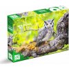 Roovi - Puzzle Divoká sova - 1000 dielov