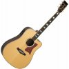 Tanglewood TW1000 H SRCE