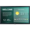 LG 22SM3G