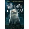 The Thirteenth Cat - Mary Downing Hahn