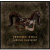 Jethro Tull - Curious Ruminant / Digipack [CD]