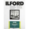 ILFORD MG FB CLASSIC 24x30/50 5K mat