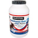 Survival Palatinose Gain 20 Fair Power 4500 g