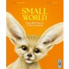 Small World