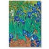 Van Gogh’s Irises Midi Adresár - autor neuvedený