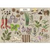 Trefl - Puzzle Premium Plus Finders Keepers: Korenie - 500 dielov