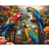 Diamantový obraz Tri papagáje