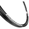 Mach1 Neuro
