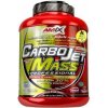 AMIX CarboJet Mass Professional 3000 g příchuť vanilka