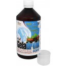 Orling Geladrink Forte Biosol čierna ríbezľa 500 ml