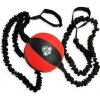 DBX Bushido DBX-SB-2 Horizontal boxing ball