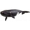 Schleich Wild Life Severoatlantická pravá veľryba