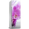 Foto tapeta na chladničku Ružová orchidea 60x180 cm