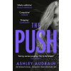 Ashley Audrain - Push