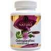 Golden Nature Pestrec mariánsky 80% silymarínu 100 tabliet