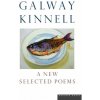 New Selected Poems (Galway Kinnell,Kinnell Galway)(Brožovaná)