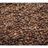 Microgreens Červená reďkovka Sango na mikrozeleninu, 50 g