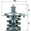 Termostat chladenia MAHLE BEHR TX 79 78D