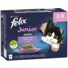 Felix Fantastic Junior lahodný výber 12 x 85 g