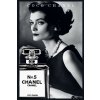 Coco Chanel Queen of Haute Couture (Brožovaná)