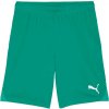 Puma TEAMGOAL SHORTS