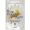 Sudba černého ptáka - Deborah Harknessová