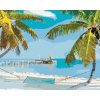 zuty Zuty - Maľovanie Podľa Čísel - Pláž S Hojdačkou Medzi Palmami (Ted Davis), 80X100 Cm, Plátno (8596530117544)