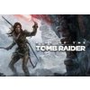 Rise of the Tomb Raider - Extended Edition Steam CD Key