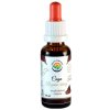 Salvia Paradise Čaga - rezavec šikmý AF tinktura 30ml