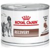 ROYAL CANIN VHN Recovery Konzerva 195 g