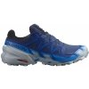 Salomon Speedcross 6 Gtx 44 2/3