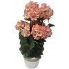 Umelý Muškát Pelargónia v črepníku O 25cm x výška 49cm ružová záťažový aranžmán