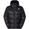 THE NORTH FACE BUNDA DIABLO 2.0 NF0A8992GOC veľkosť S